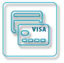 VISA Card application logo